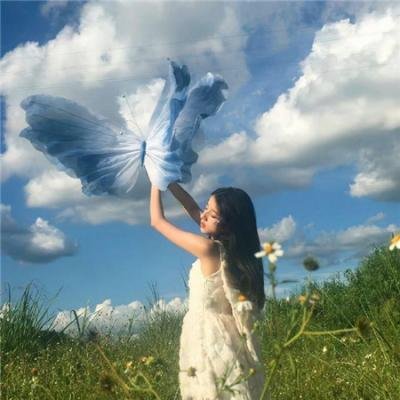 轮廓中的真相